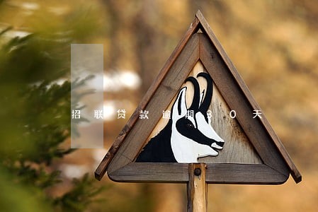 招联贷款逾期30天 招联贷款逾期30天