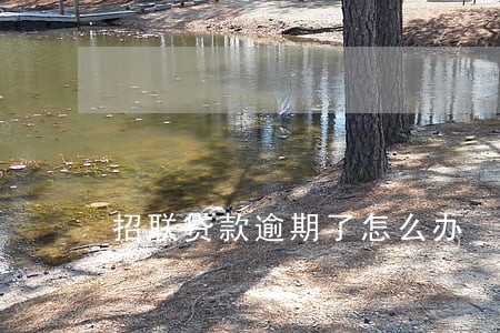 招联贷款逾期了怎么办 招联贷款逾期了怎么办