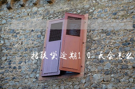 招联贷逾期10天会怎么样
