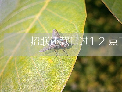 招联还款日过12点了算逾期么 招联还款日过12点了算逾期么