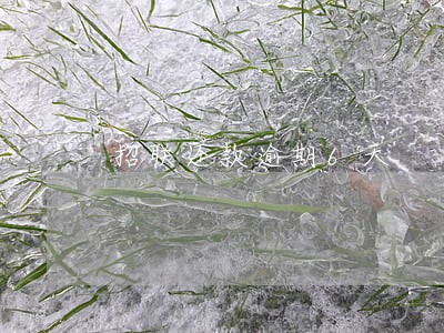 招联还款逾期6天 招联还款逾期6天