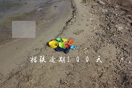 招联逾期100天 招联逾期100天