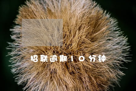 招联逾期10分钟