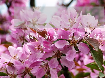 招联逾期10天上征信么 招联逾期10天上征信么