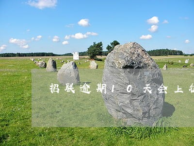 招联逾期10天会上征信吗 招联逾期10天会上征信吗
