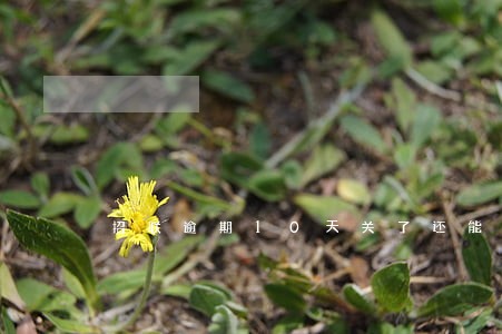 招联逾期10天关了还能贷吗 招联逾期10天关了还能贷吗