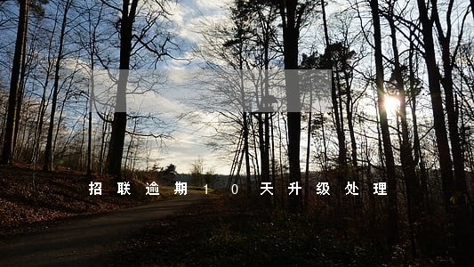 招联逾期10天升级处理 招联逾期10天升级处理