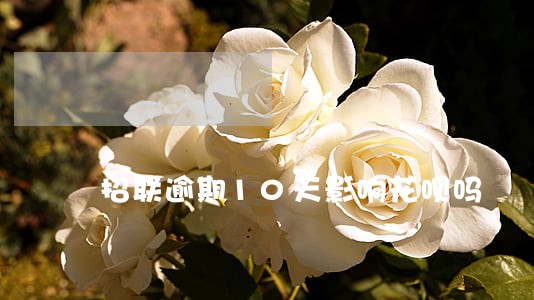 招联逾期10天影响花呗吗 招联逾期10天影响花呗吗