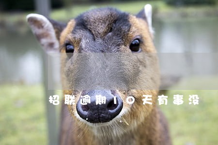 招联逾期10天有事没 招联逾期10天有事没