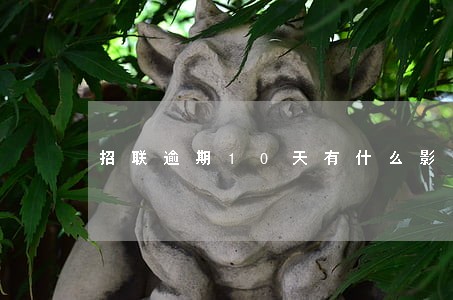 招联逾期10天有什么影响吗 招联逾期10天有什么影响吗