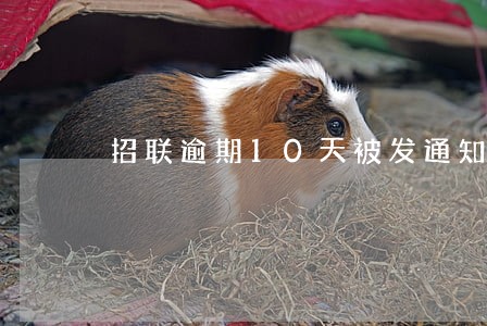 招联逾期10天被发通知 招联逾期10天被发通知
