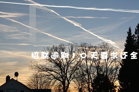 招联逾期10天要求还全款