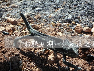 招联逾期10天说要移交催收部 招联逾期10天说要移交催收部
