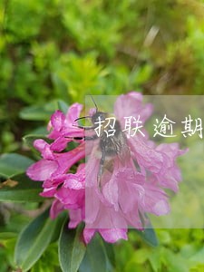 招联逾期10天还能贷吗 招联逾期10天还能贷吗