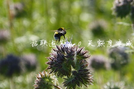 招联逾期10天额度变成0 招联逾期10天额度变成0
