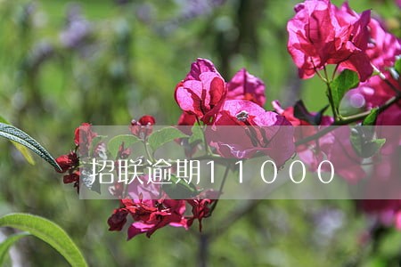 招联逾期11000 招联逾期11000