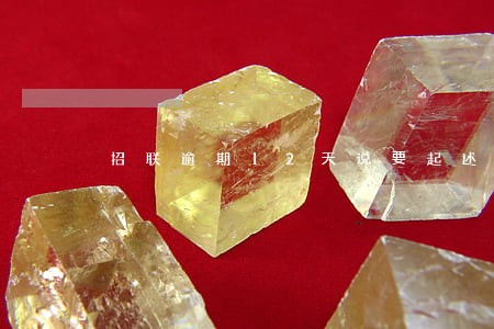 招联逾期12天说要起述我 招联逾期12天说要起述我