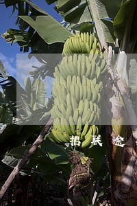 招联逾期14天 招联逾期14天