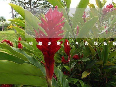 招联逾期15天给亲戚打电话吗 招联逾期15天给亲戚打电话吗