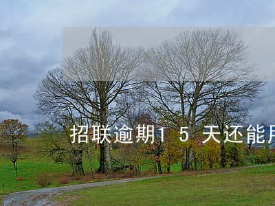 招联逾期15天还能用吗 招联逾期15天还能用吗
