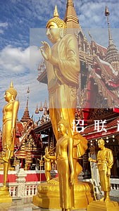招联逾期16000 招联逾期16000