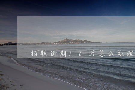 招联逾期16万怎么处理 招联逾期16万怎么处理