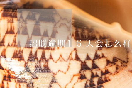 招联逾期16天会怎么样 招联逾期16天会怎么样