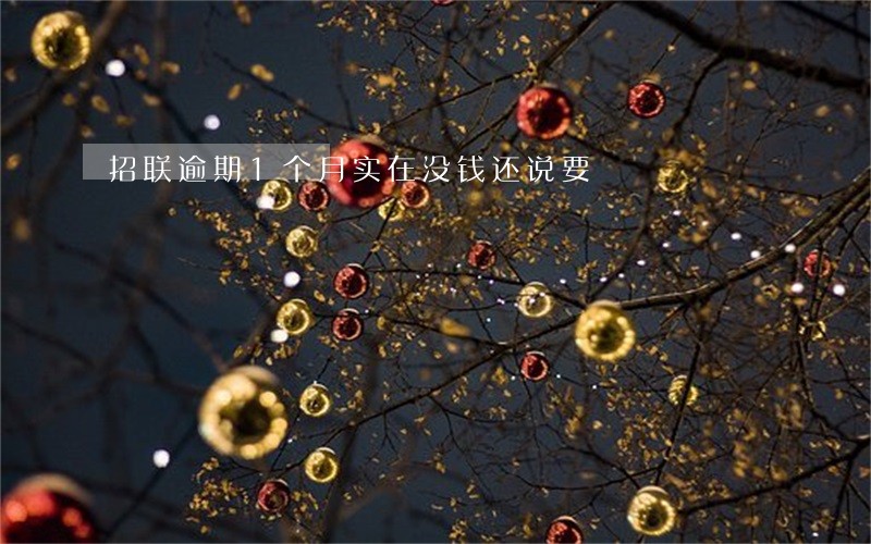 招联逾期1个月实在没钱还说要 招联逾期1个月实在没钱还说要
