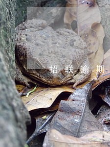 招联逾期1个月收到函件