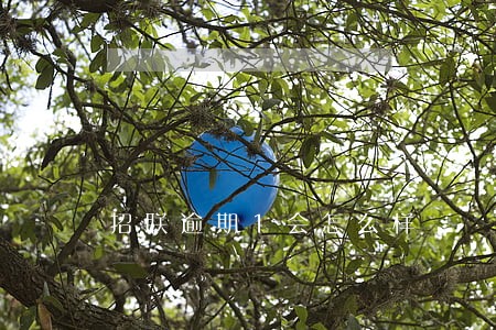 招联逾期1会怎么样 招联逾期1会怎么样
