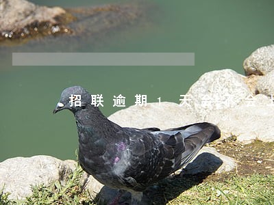招联逾期1天会不会上征信 招联逾期1天会不会上征信