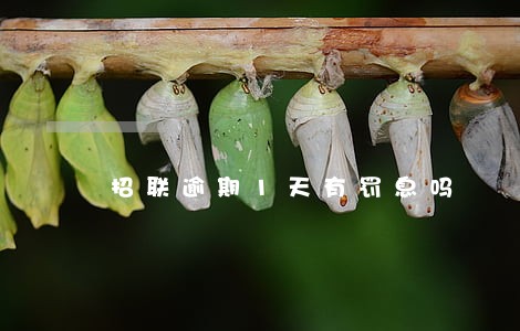 招联逾期1天有罚息吗 招联逾期1天有罚息吗