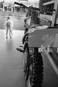 招联逾期1年会怎么样 招联逾期1年会怎么样