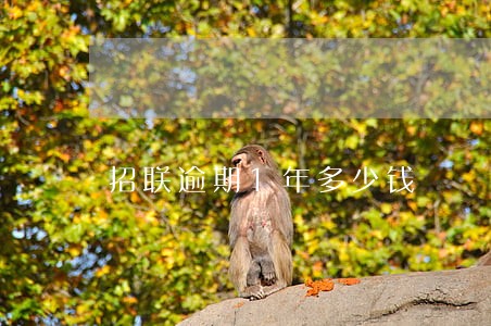 招联逾期1年多少钱 招联逾期1年多少钱