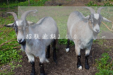 招联逾期200 招联逾期200