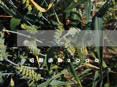 招联逾期2000