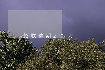 招联逾期20万 招联逾期20万