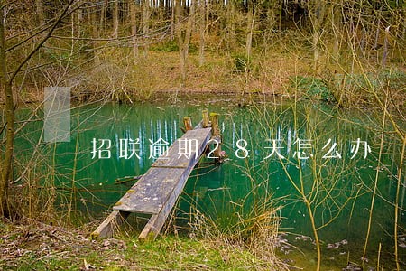 招联逾期28天怎么办