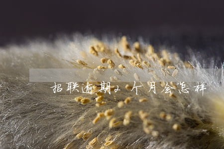 招联逾期2个月会怎样 招联逾期2个月会怎样