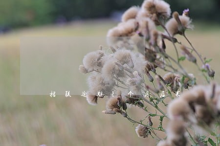 招联逾期2个月后果 招联逾期2个月后果