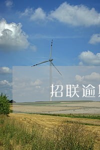 招联逾期2天借呗被封锁 招联逾期2天借呗被封锁