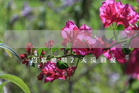 招联逾期2天没额度 招联逾期2天没额度