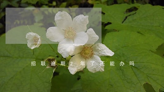 招联逾期2年了还能办吗 招联逾期2年了还能办吗