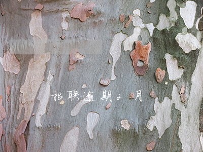 招联逾期2月 招联逾期2月