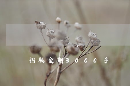 招联逾期3000多 招联逾期3000多