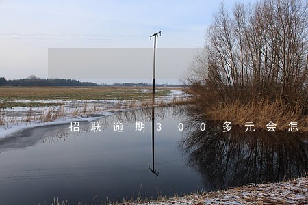 招联逾期300多元会怎么样 招联逾期300多元会怎么样