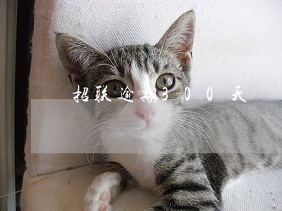 招联逾期300天 招联逾期300天