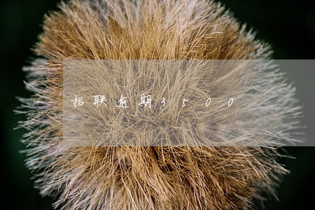 招联逾期3500 招联逾期3500