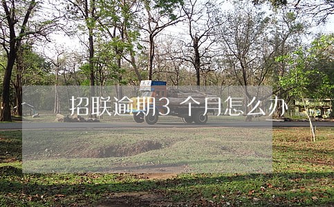 招联逾期3个月怎么办