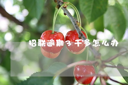 招联逾期3千多怎么办 招联逾期3千多怎么办